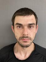 Local Man Charged With Domestic Assault