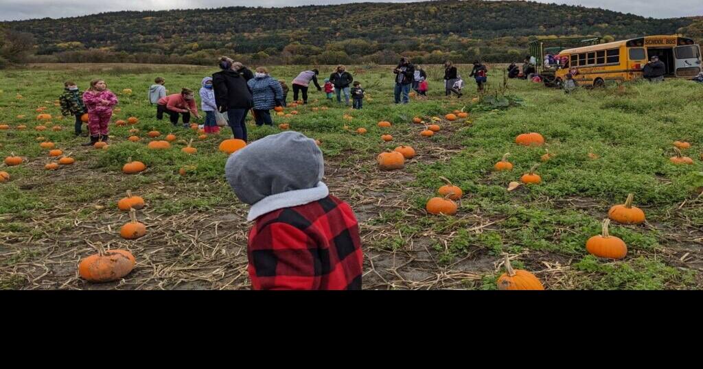 Grafton County Farm Celebrates Longstanding Pumpkin Day Local News