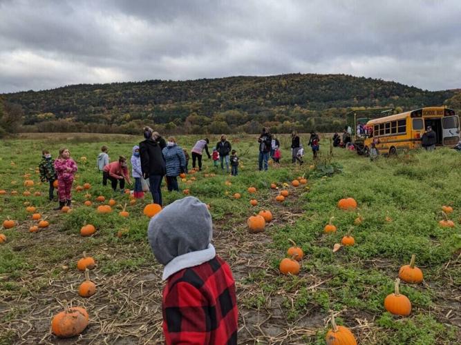Grafton County Farm Celebrates Longstanding Pumpkin Day