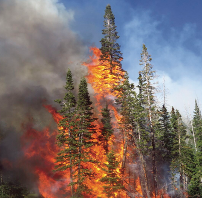 Reducing Wildfire Risks