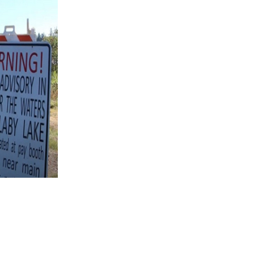OHA to issue algae warnings when dog deaths reported at toxic bloom sites | News