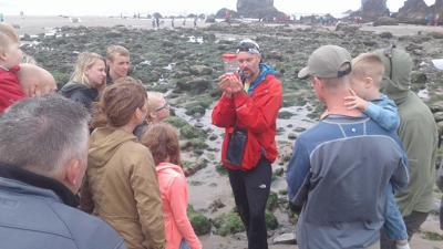 Guided tide pool tours