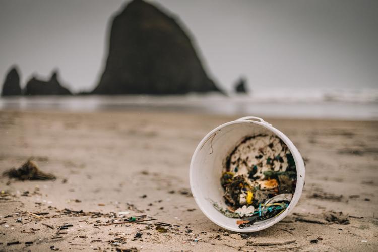 About 1 — Haystack Rock Awareness Program