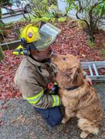 Dog Rescue: Firefighters pull dog from deep well