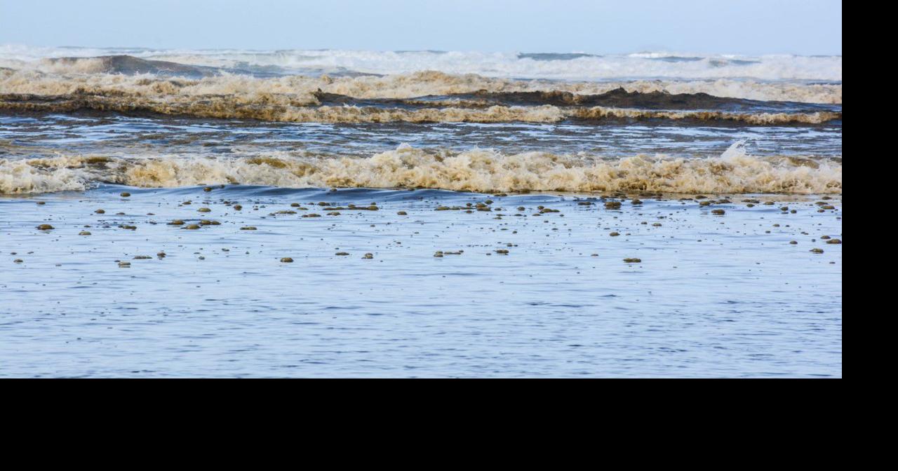 What's the funky brown sea foam washing up along the O.C. coast