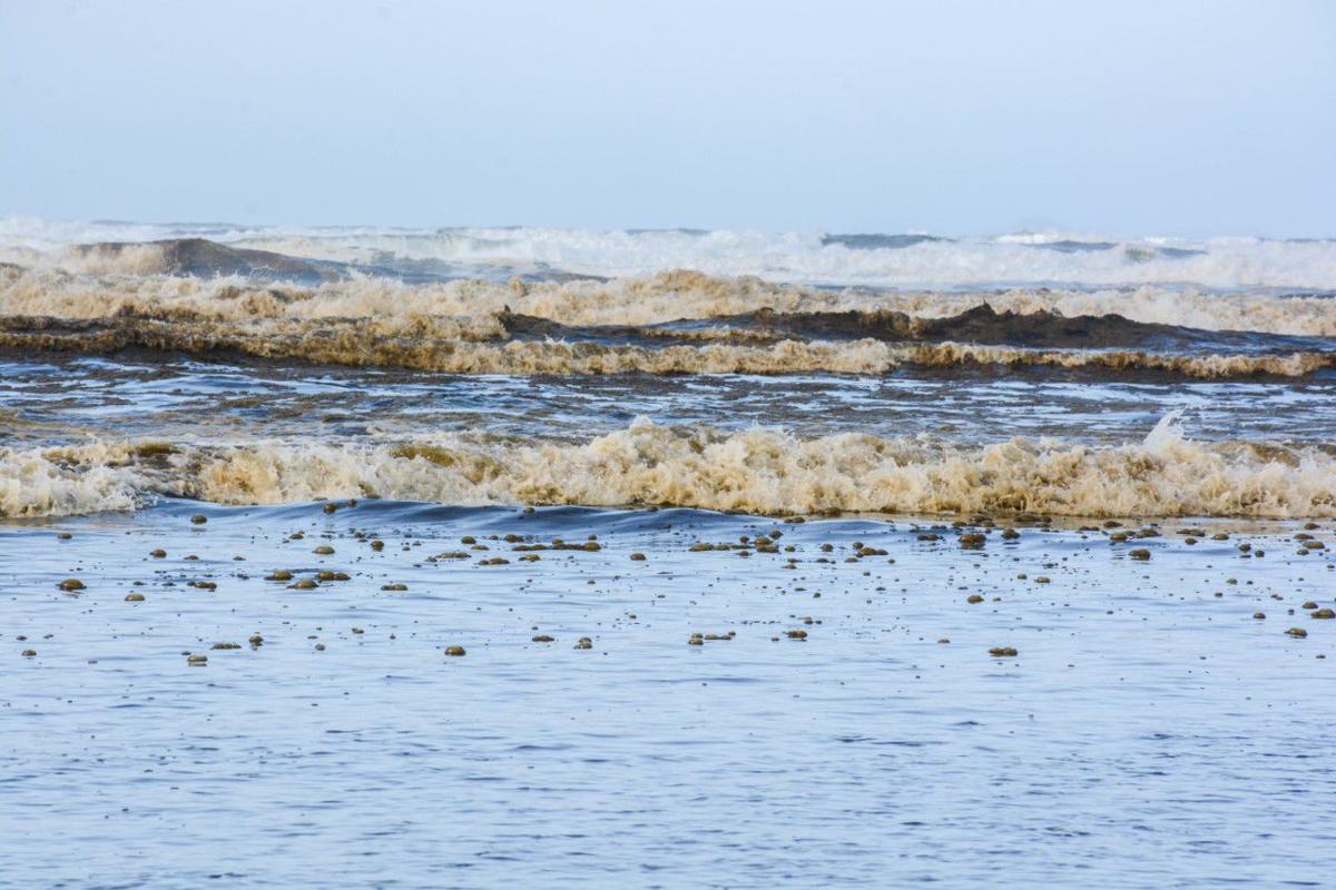 Brown Gooey Waves At Long Beach Seaside News