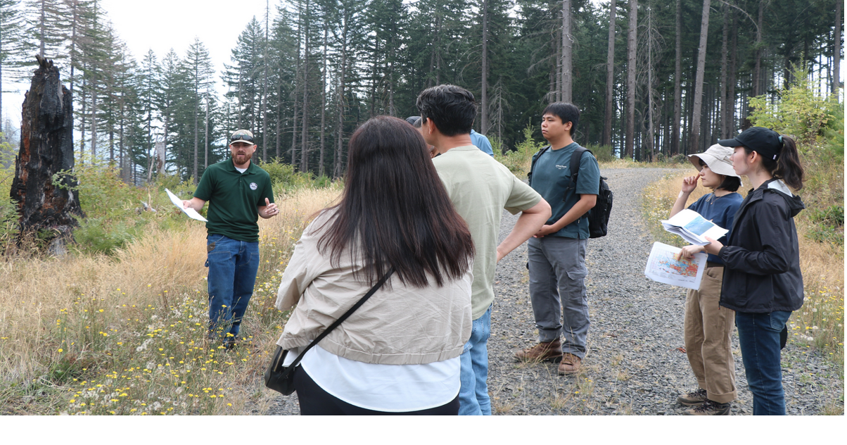 South Korean researchers gain forest recovery, restoration insight from Oregon wildfires