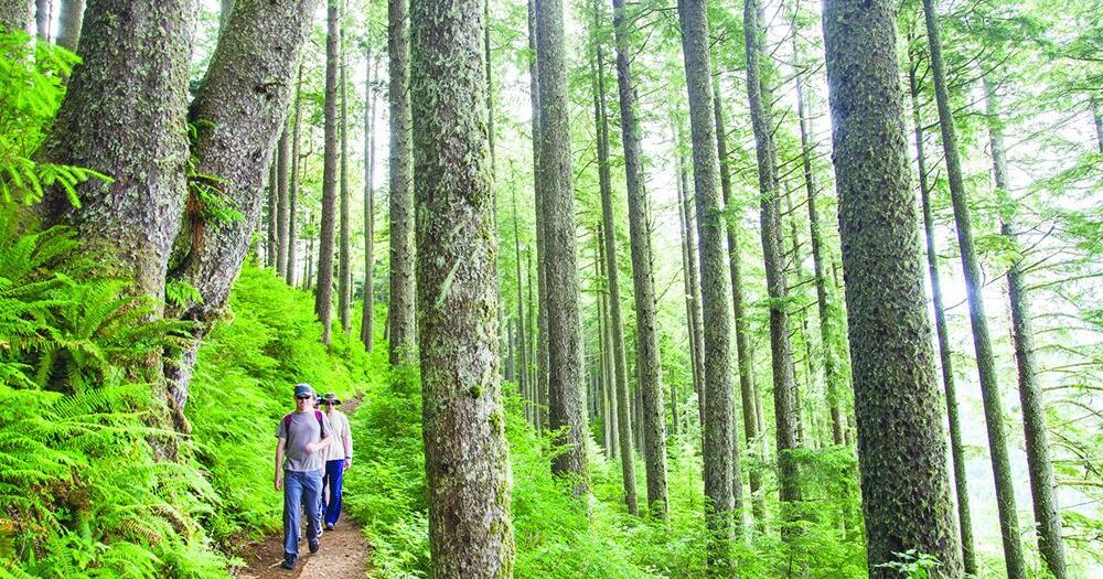 Tillamook Coast partners with Leave No Trace
