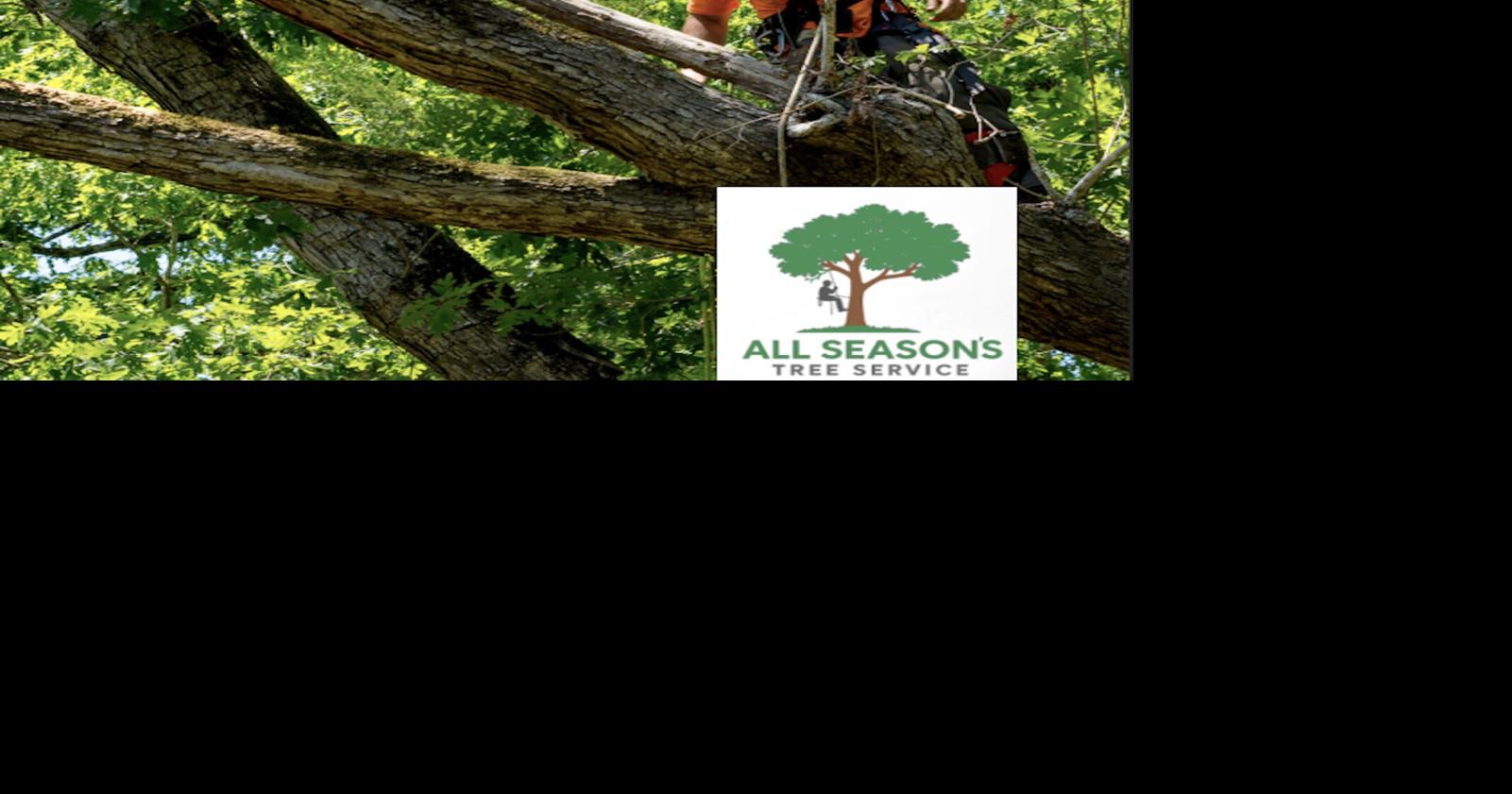 All Season's Tree Service: Professional tree care guidance | Local News ...