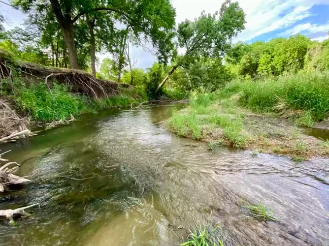PHOTOS Home on Little Cannon River for sale in Cannon Falls Local