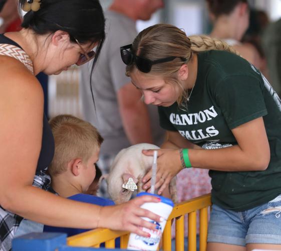 A beautiful day to start the Cannon Valley Fair Local News