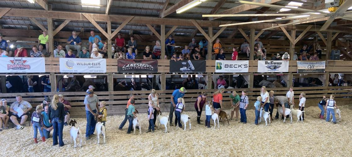 Thursday at the Goodhue County Fair Local News