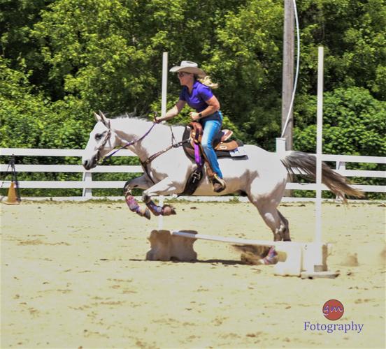 Royalty – Western Saddle Clubs Association, Inc.