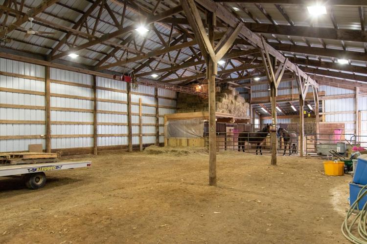 This Cannon Falls hobby farm has outbuildings galore Real Estate