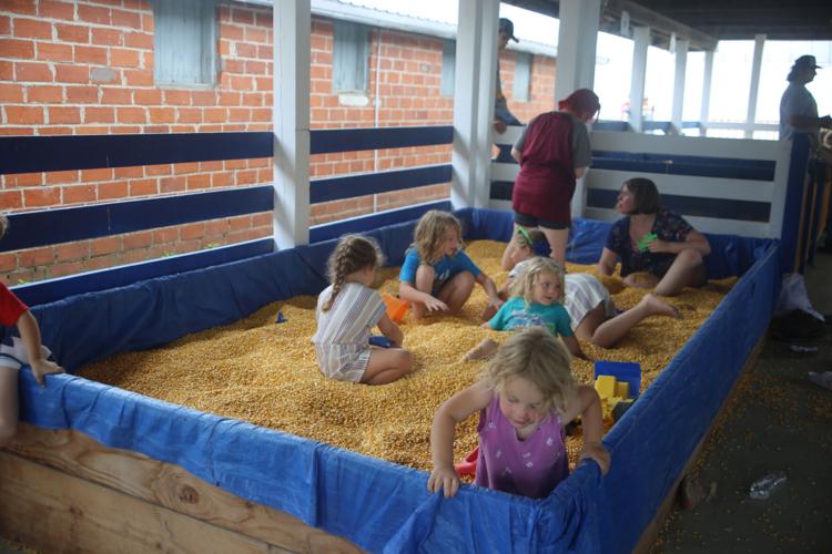 Cannon Valley Fair finale Fairgoers battle rain on 4th of July