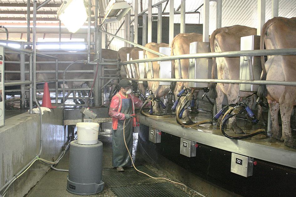 Oregon dairy inspection proposal revived | Dairy - Capital Press