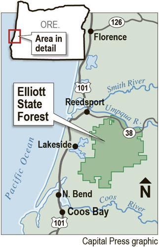 Elliott Forest: One of those Oregon things