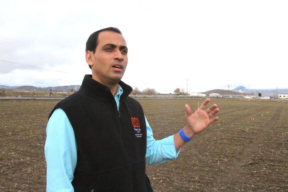 KBREC hires agronomist in Klamath Falls | Oregon - Capital Press