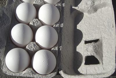 California shell egg prices