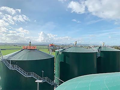 Shell digesters