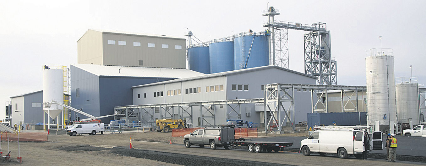 Canola processor gears up for opening | Washington | capitalpress.com