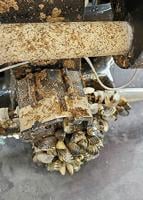 Idaho boat inspectors finding fewer quagga, zebra mussels