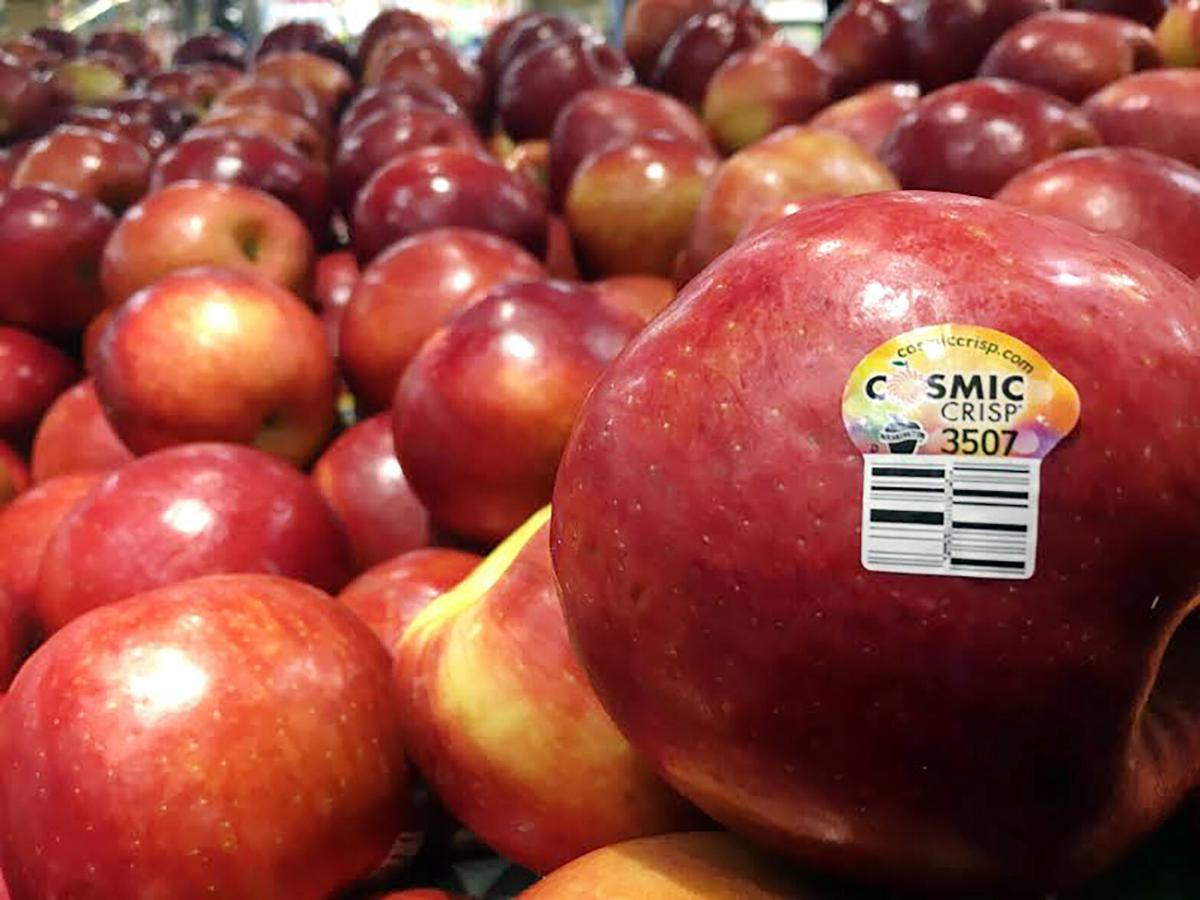 Fresh Organic Cosmic Crisp Apple  Central Market - Really Into Food