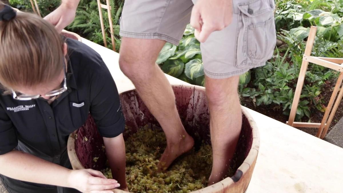 Americus grape stomp highlights agriculture