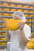 Dairy makes its own cheese, curds