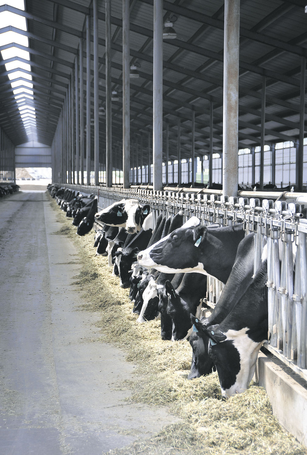 Annual Report Highlights Dairy Checkoff Efforts During Pandemic | Dairy ...