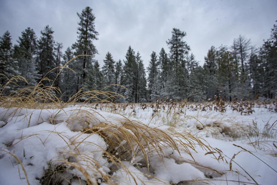 Early season snowfall, precipitation lagging across Oregon | Water - Capital Press