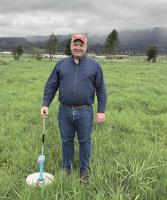 Pasture management key to dairy profits