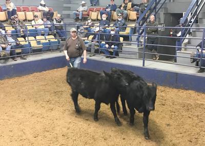 Selected Western livestock auctions