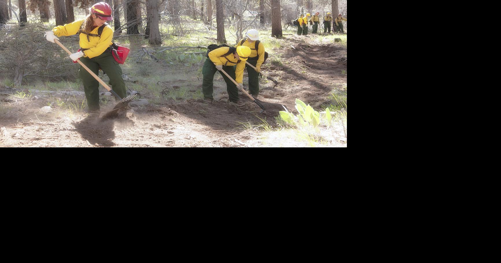 Women In Wildland Fire Boot Camp Applications Open Timber