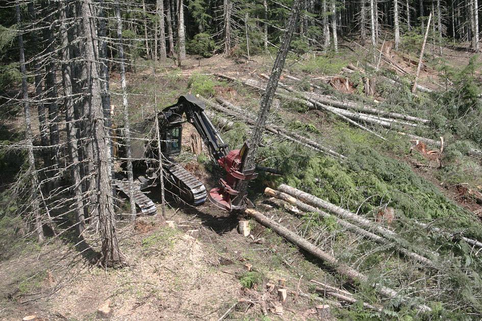 Editorial: Another threat to Oregon's timber industry | Editorials