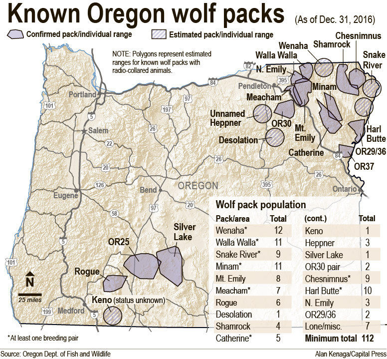 Osp Surge Of Wolf Killings Isn T Organized Effort Oregon Capitalpress Com