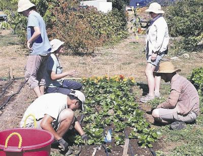 Students gain hands-on experience in small-scale farming (copy)