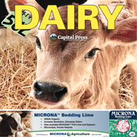Dairy special section