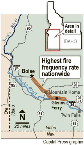 BLM project targets wildfire in top burn area