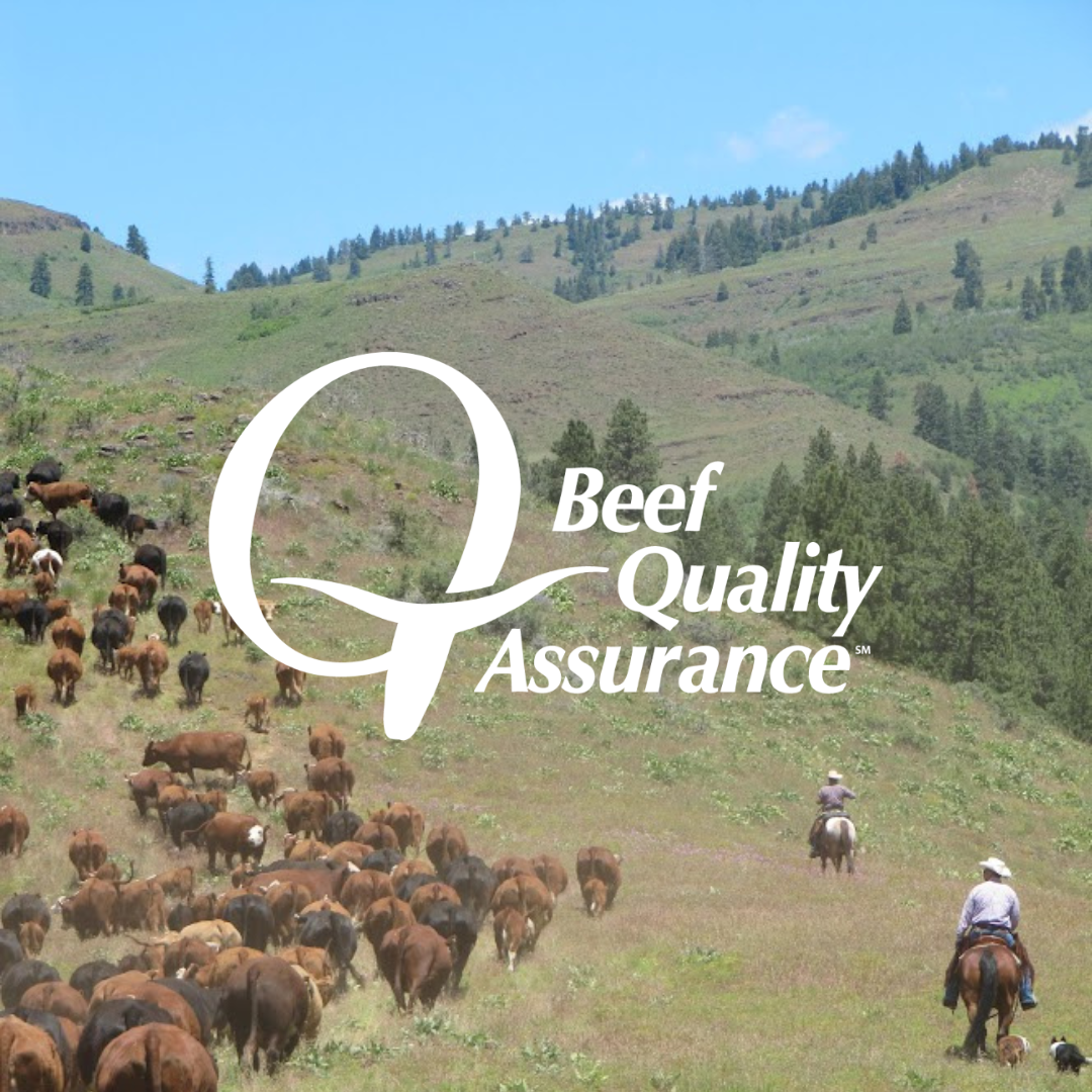 Beef Quality Assurance Meeting | Ag Events | Capitalpress.com