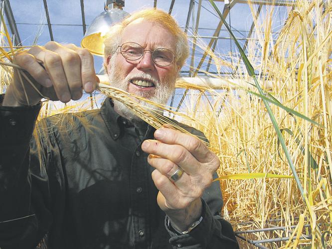 Barley breeder bids farewell | Washington | capitalpress.com