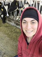 Dairy researcher looks to improve feeding efficiency