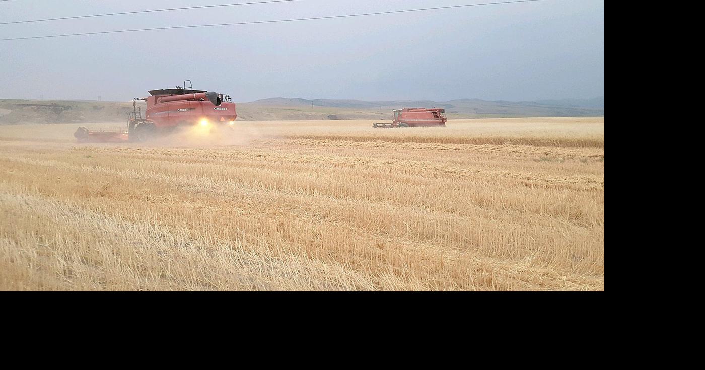 RMA pushes back East Idaho fall grain planting dates Idaho