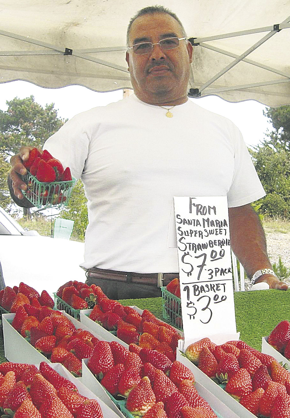 Strawberry Production Falls Short Of Record Ag Sectors Capitalpress Com