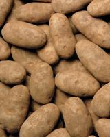 Selected potato prices