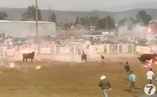 PETA calls for investigation into fireworks use at Idaho rodeo | Livestock  