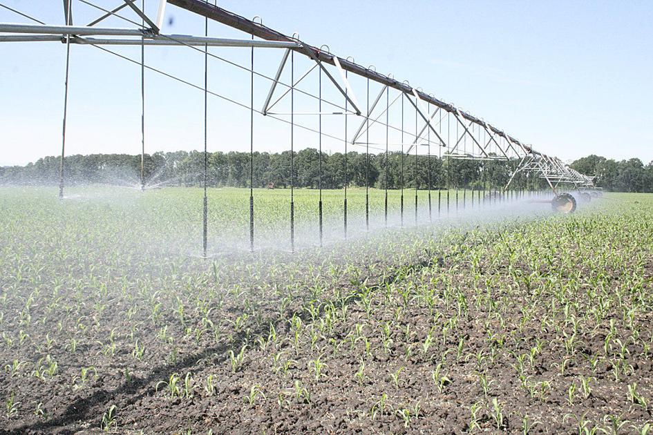 Oregon irrigators argue against curtailing legal tool - Capital Press