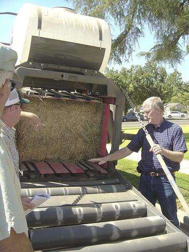 Californian research yields cattle feed from rice straw