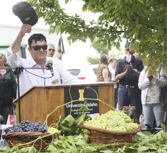 Fruit Field Day showcases varieties | Orchards, Nuts & Vines - Capital Press
