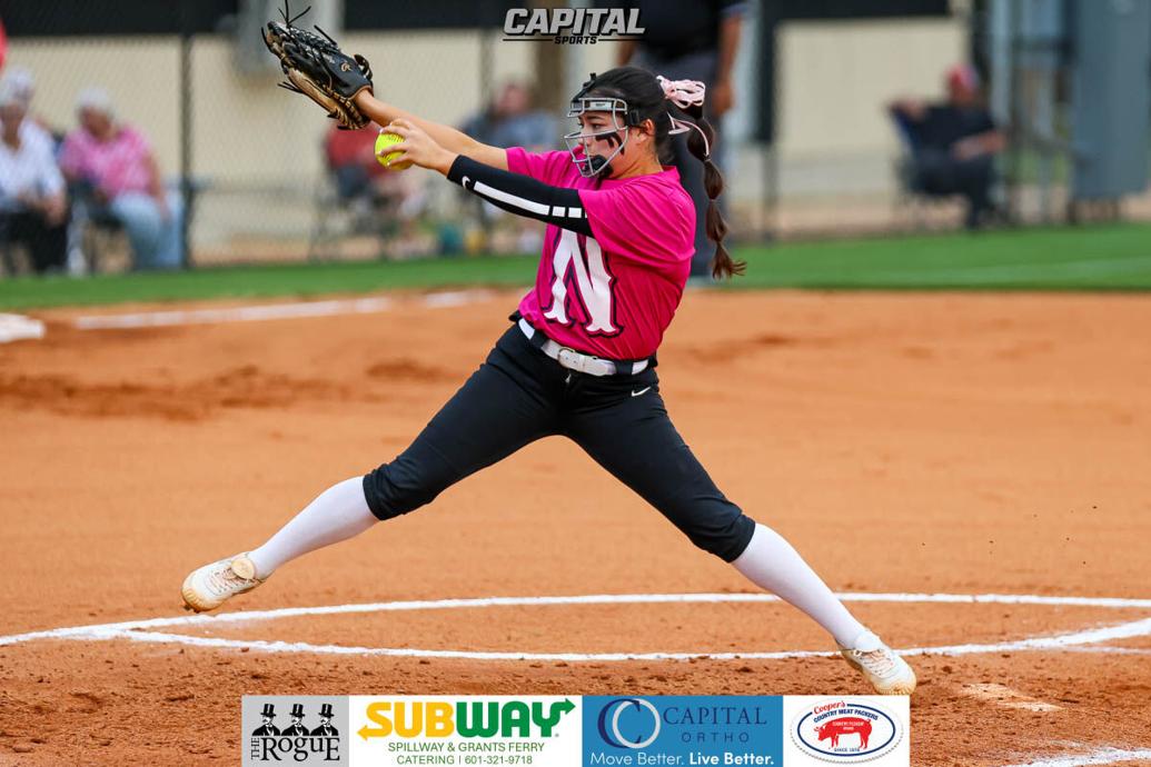 MHSAA Semifinal Round Softball Playoff Scores Capital Sports
